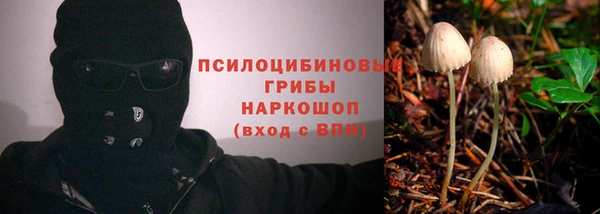 эйфоретик Алексин