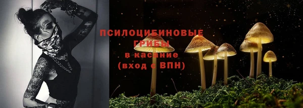 эйфоретик Алексин
