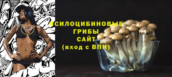 эйфоретик Алексин