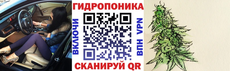Бошки марихуана план  Севастополь 